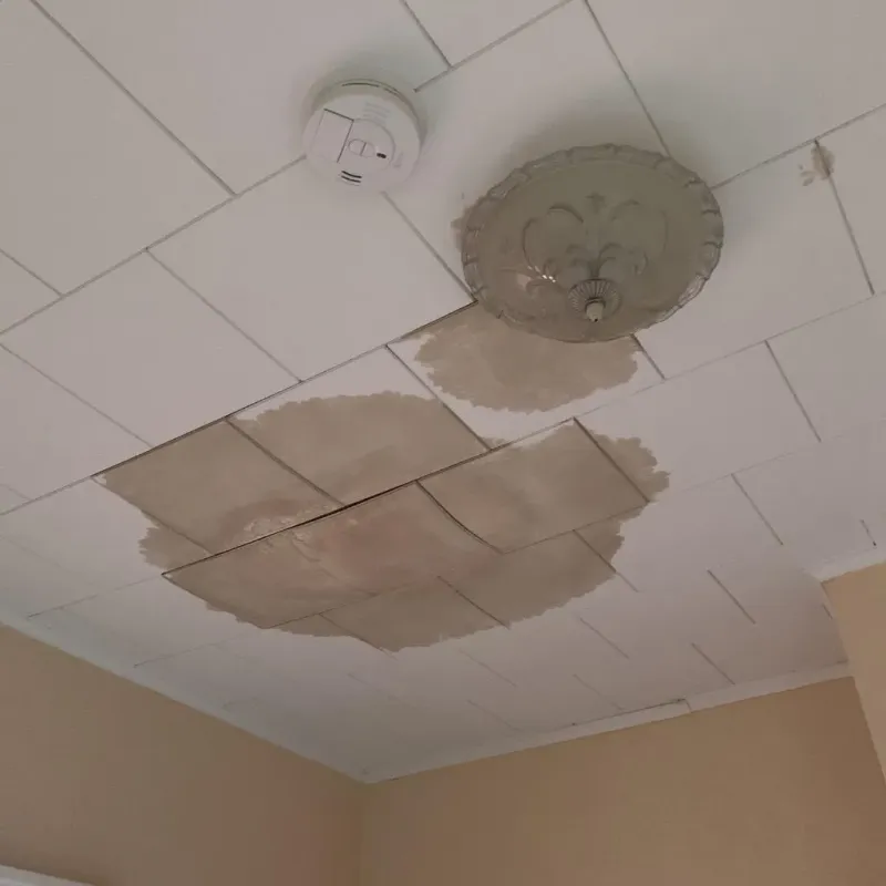 Ceiling Water Damage Repair in Archdale, NC