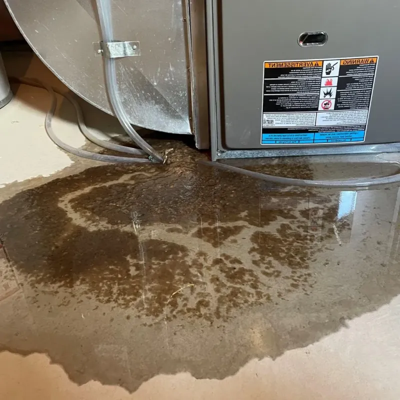 Pipe Burst and Leak Restoration in Archdale, NC